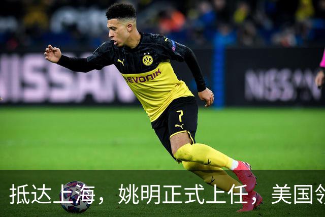 抵达上海，姚明正式上任，美国领事馆任命，亮相新岗位，薪酬曝光